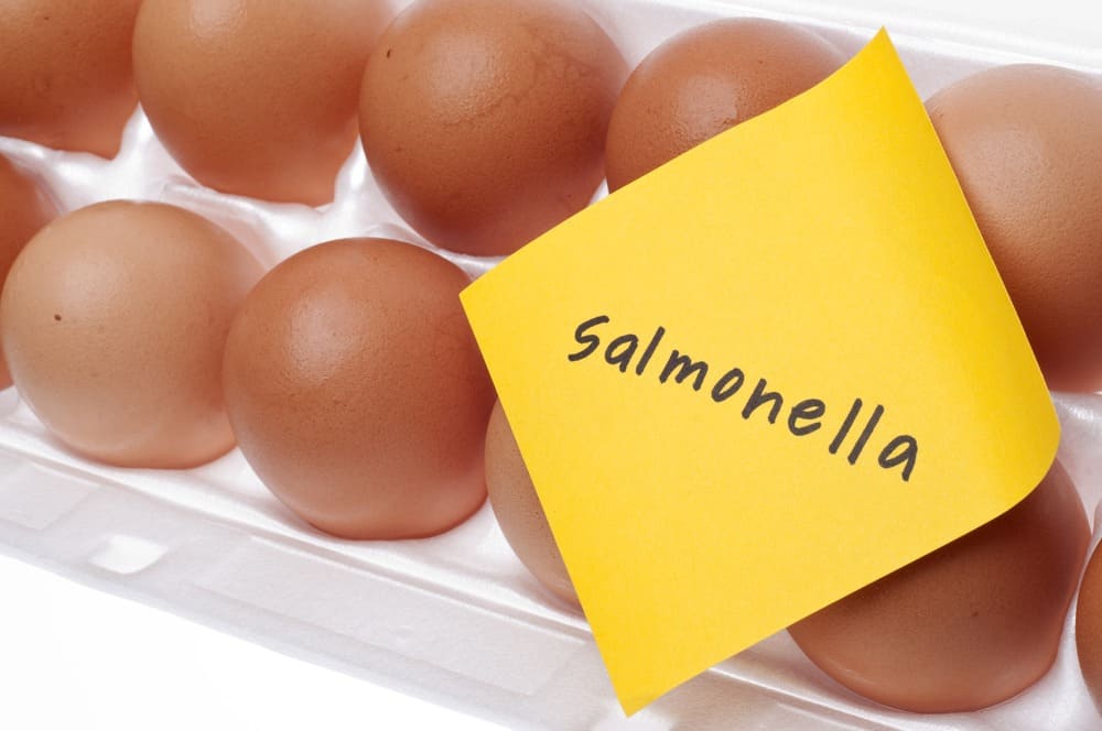 Massive Egg Recall Due To Possible Salmonella Contamination